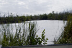 Mrazek Pond