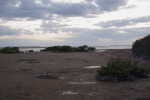 Mud Flats