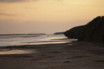 Muddy Shoreline