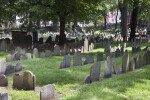 Multiple Rows of Headstones in a Cemetery