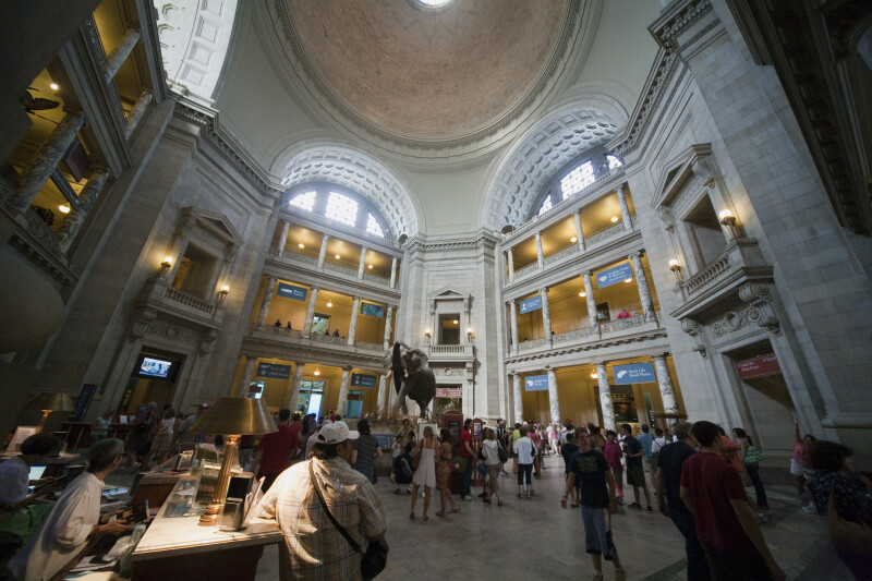 Museum of Natural History Atrium