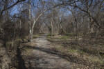 Nature Path