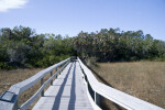 Nine Mile Pond Boardwalk