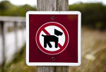 No Dogs Sign