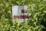 No Swimming