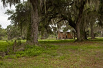 Oak Hammock and Wood Structure