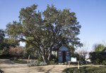 Manicured Xeriscape Demonstration at the San Antonio Botanical Garden