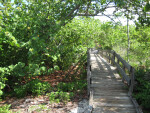 Old Boardwalk