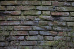 Old Brick Wall with Light Vegetation