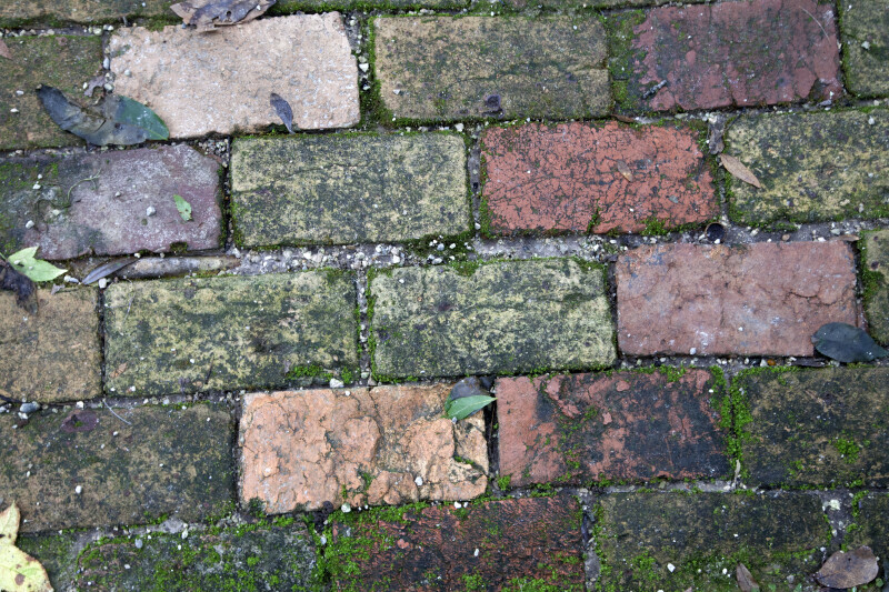 Old Worn Bricks at the Kanapaha Botanical Gardens