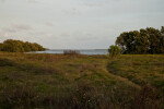 Open Area Leading to Water at the Florida Campgrounds of Everglades National Park