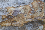 Orange Blotch on Surface of a Rock