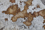 Orange Blotches on a Rock's Surface