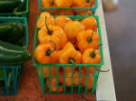 Orange Jalapeño Peppers
