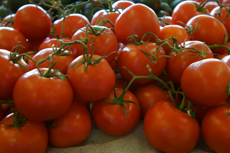 Organic "On the Vine" Vine Ripe Tomatoes