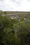 Pa-Hay-Okeene Boardwalk