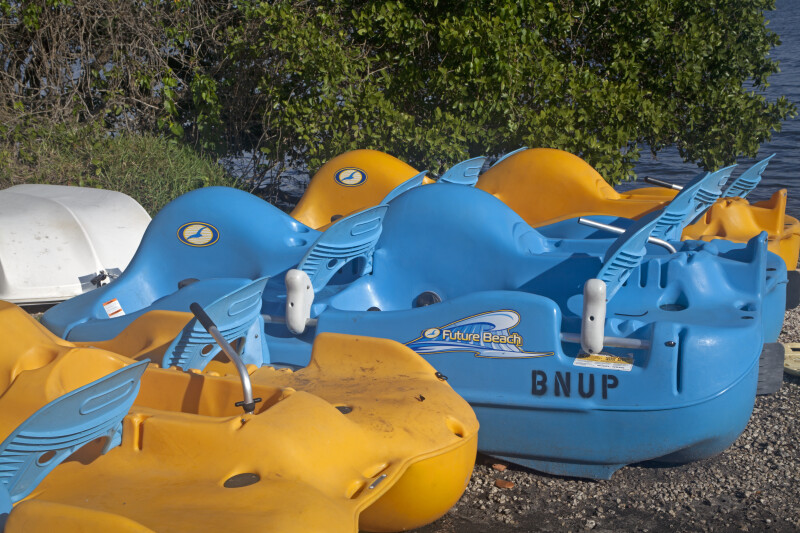 Paddleboats at Biscayne National Park