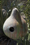 Painted Gourd Birdhouse
