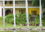 Palm Trees and Main House