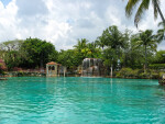 Palm Trees and Waterfall