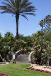 Palm Trees Near Curved Steps