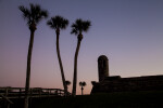 Palm Trees near the Sentry Tower of Castillo de San Marcos