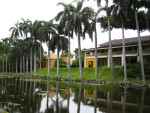 Palms Lining Slough