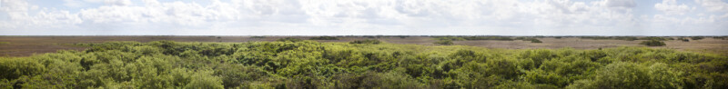 Panoramic View of Shark Valley of Everglades National Park