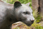 Panther Statue Head