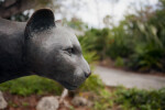 Panther Statue Head