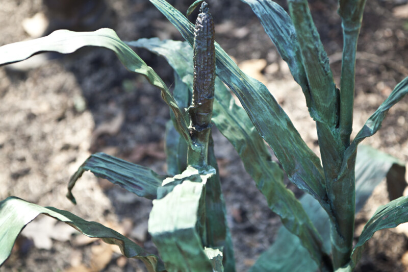 Part of a Bronze Sculpture Showing a Close-Up of Ears of Corn on the Stalk