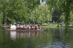 Passengers in a Swan Boat at the Boston Public Garden