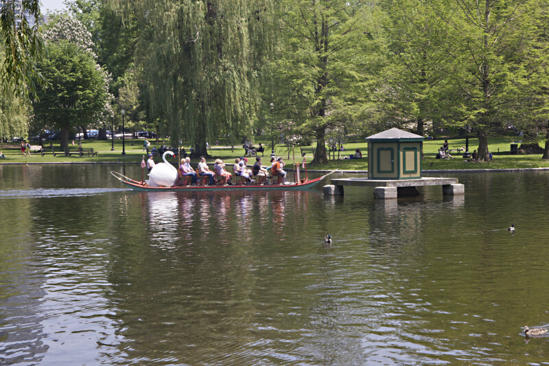 Passengers in a Swan Boat Gliding Across the Lake at the Boston Public Garden