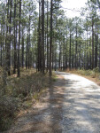 Path at Falling Waters