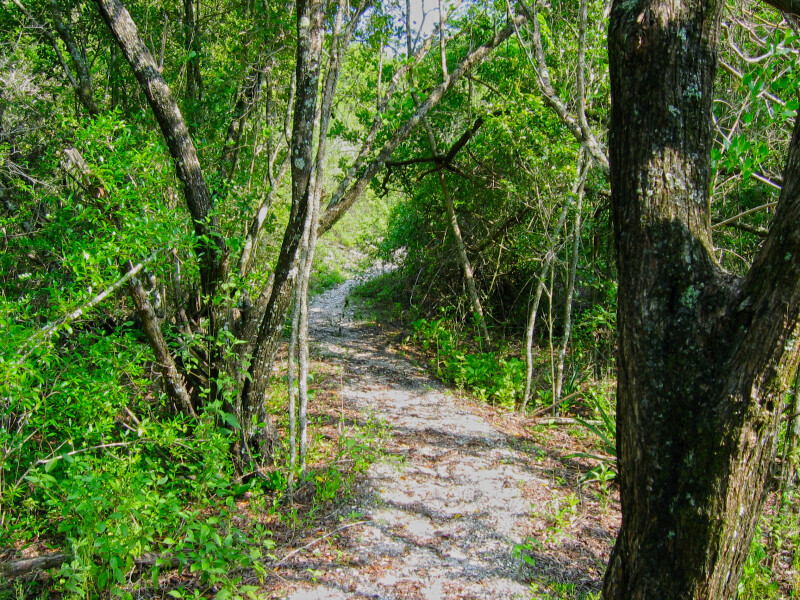 Path at Mound Key