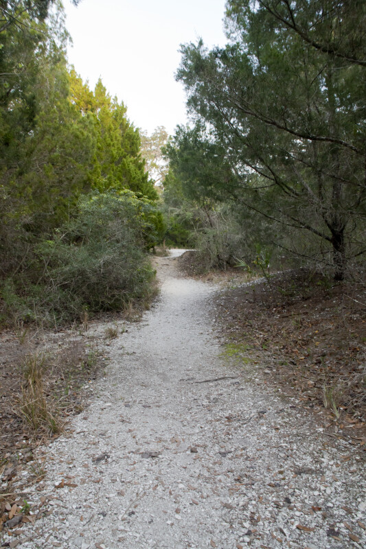 Path of the Shell Mound Trail