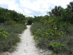 Path to Boardwalk