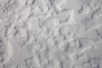 Patterns in the Snow