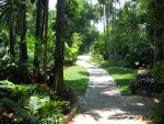 Paved Path