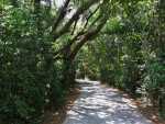 Paved Path