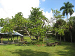 Picnic Tables