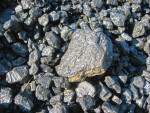 Pieces of Coal