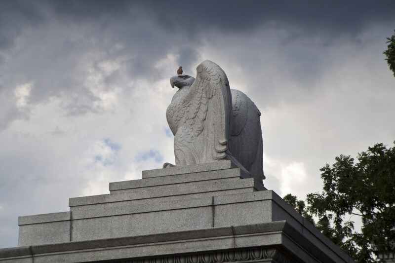 Pigeon on Eagle Statue