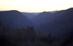 Pine Trees on the Slopes of the Hetch Hetchy Valley at Sunset