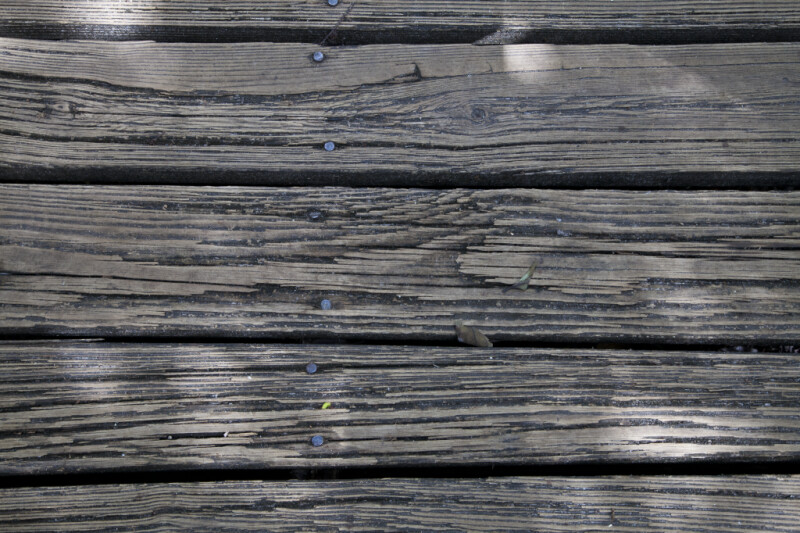 Planks of the Big Cypress Bend Boardwalk