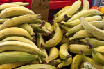 Plantains on Display at Haymarket Square