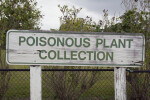 Poisonous Plants Sign
