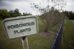 Poisonous Plants Sign