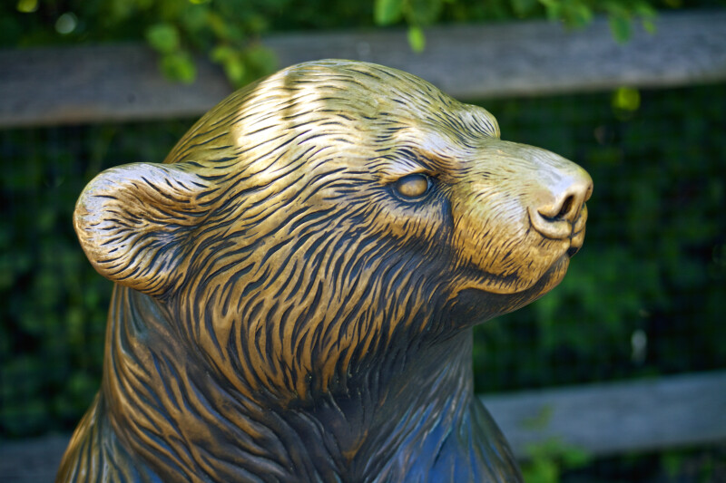 Polar Bear Bronze Detail