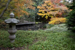 Pond and Boardwalk